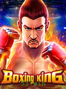 Explorando o Mundo de BoxingKing: Um Guia Completo