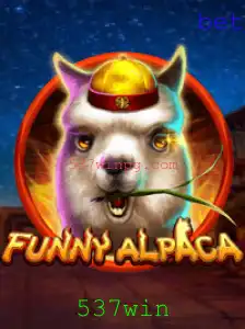 Explorando o Universo Diversificado de FunnyAlpaca: Um Guia Completo